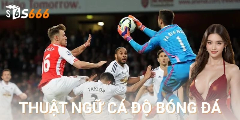 Các thuật ngữ về kèo bóng đá